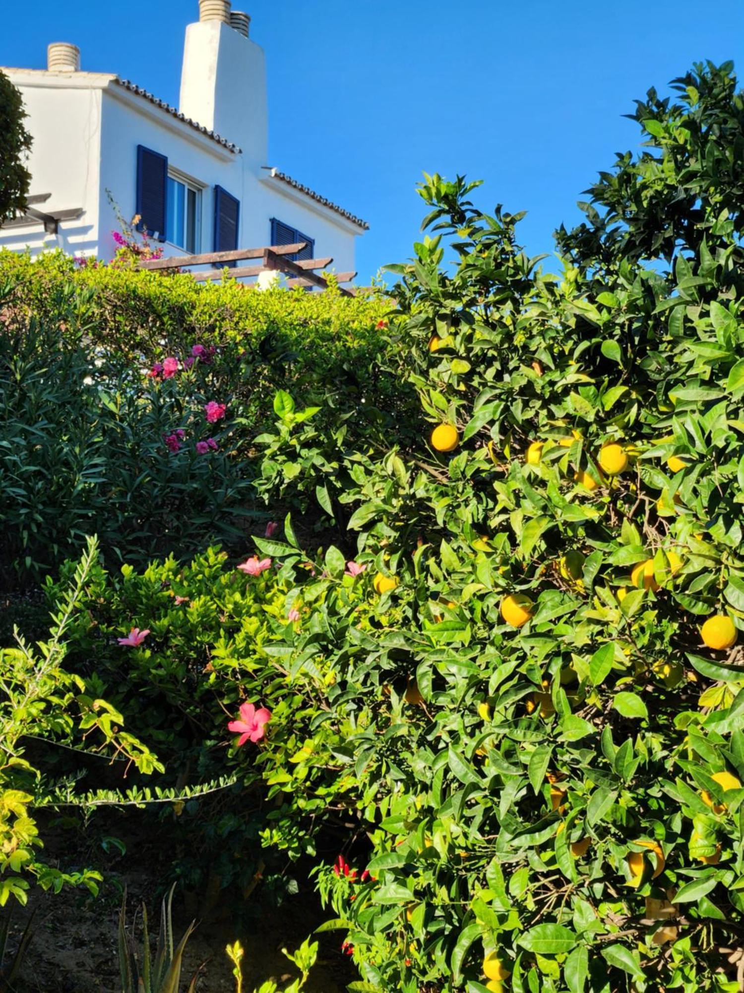Elena Flat Lovely Paradise Above The Sea Sitio de Calahonda Екстериор снимка